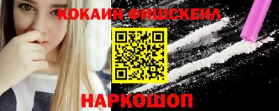 Альфа ПВП Гатчина