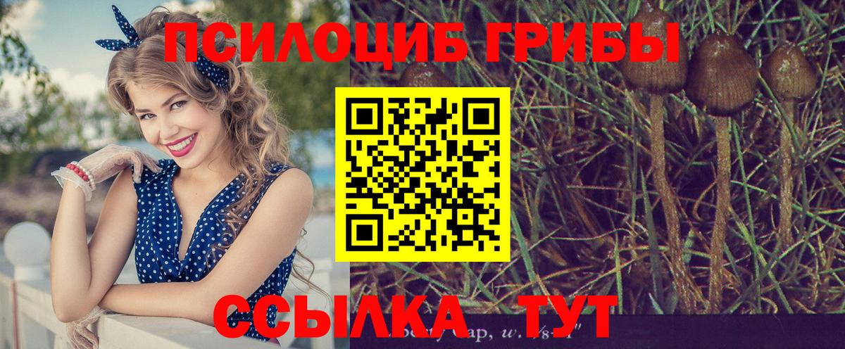 Галлюциногенные грибы MAGIC MUSHROOMS  Вход с VPN  Галлюциногенные грибы Magic Shrooms  Нижнеудинск 